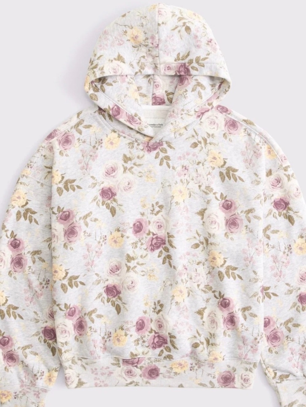 Abercrombie and Fitch Sweatshirt
